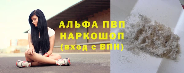 стаф Каменск-Шахтинский