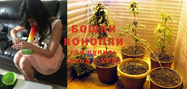 стаф Каменск-Шахтинский