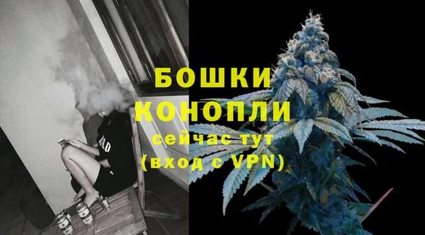 стаф Каменск-Шахтинский