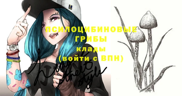 кокаин перу Каменногорск