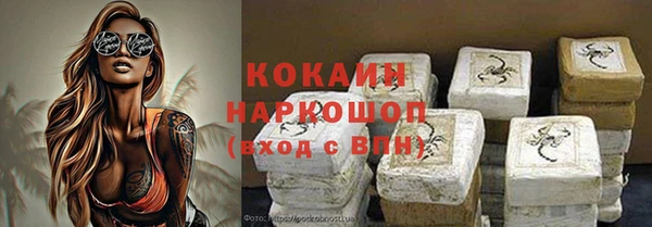 стаф Каменск-Шахтинский