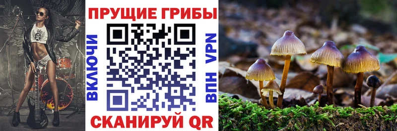 Купить закладки  Гороховец  Галлюциногенные грибы Psilocybine cubensis 